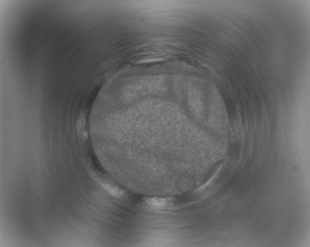 X0000068280187200605121921