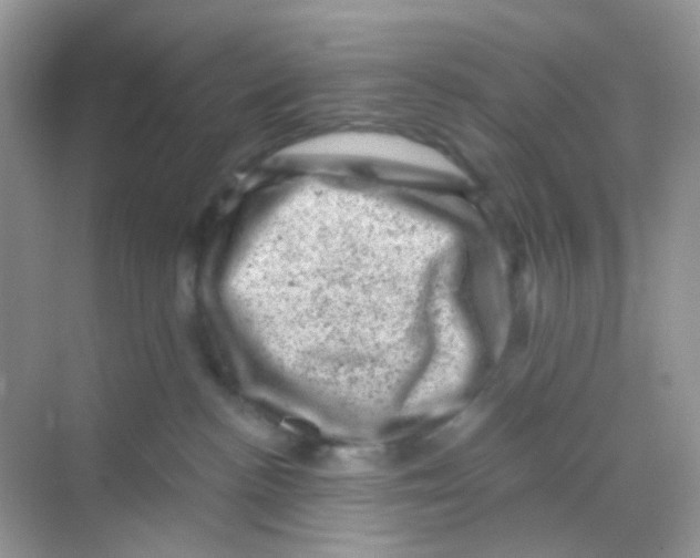 X0000068280188200605121921