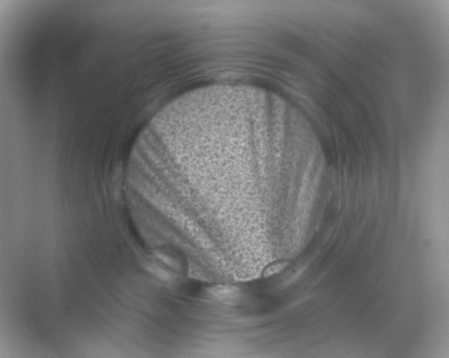 X0000068280189200605121922