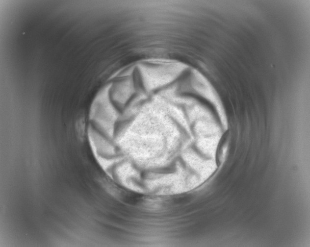 X0000068280190200605121922