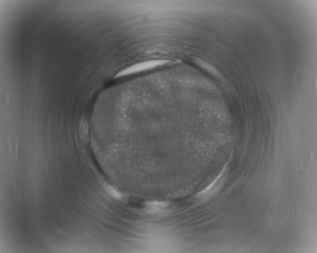 X0000068280192200605121922