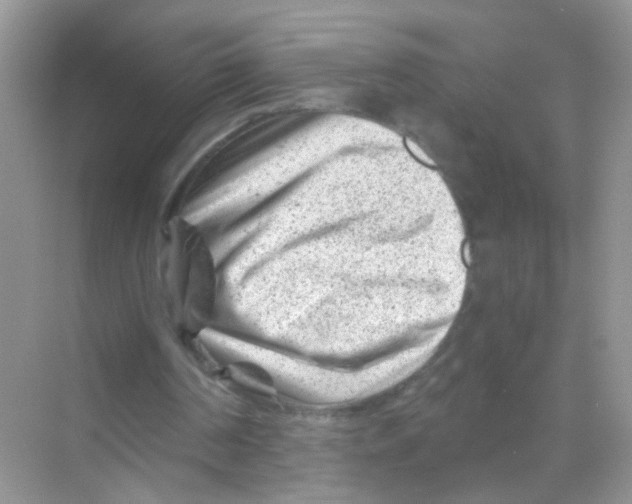 X0000068280194200605121921