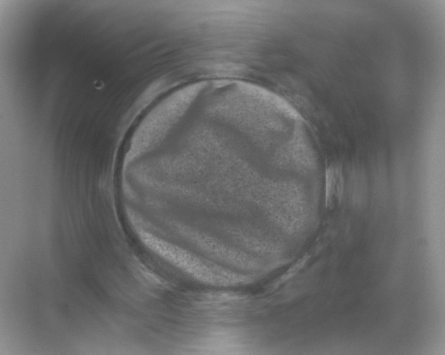 X0000068280195200605121921