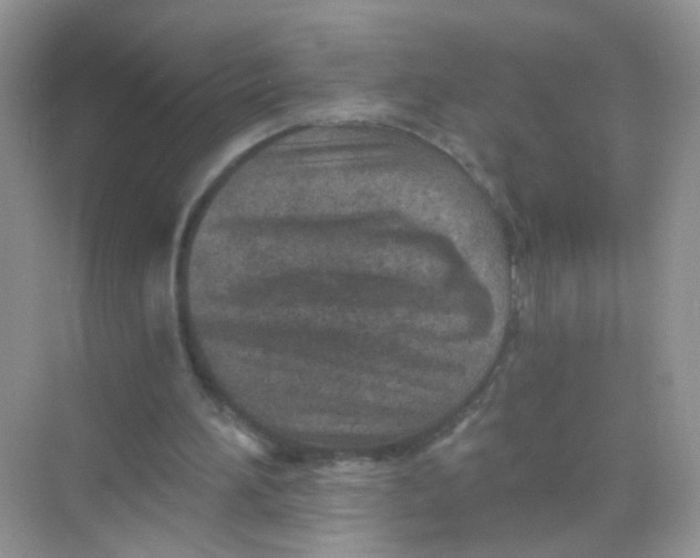 X0000068280196200605121921