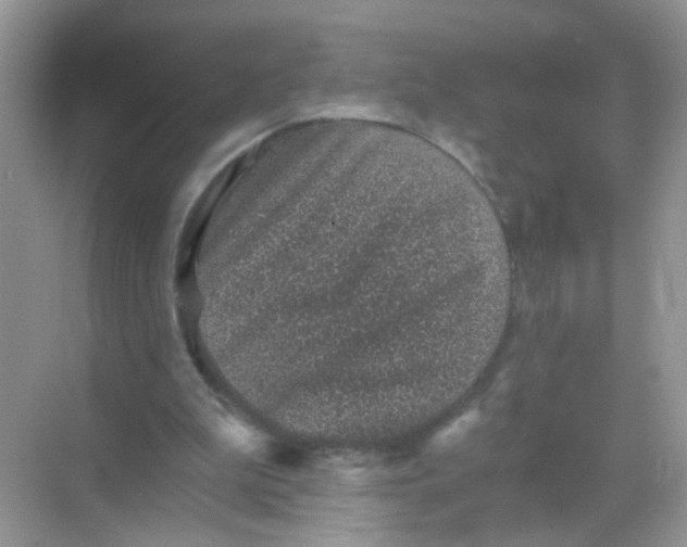 X0000068280199200605121921