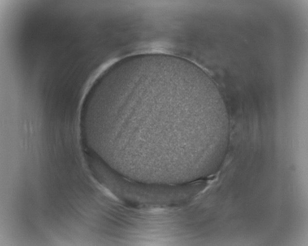 X0000068280200200605121921