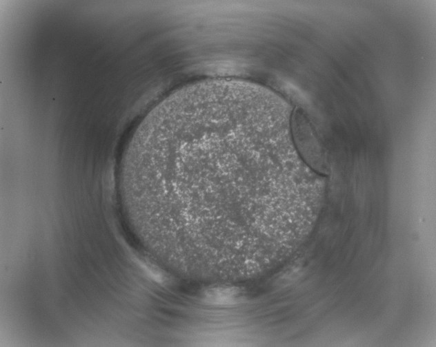 X0000068280202200605121921