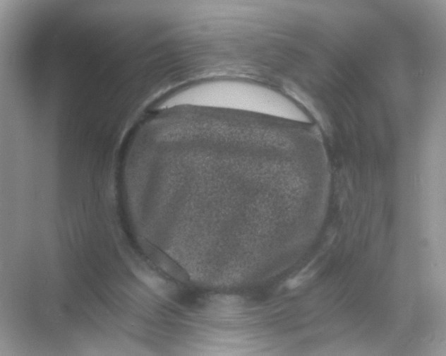 X0000068280203200605121921