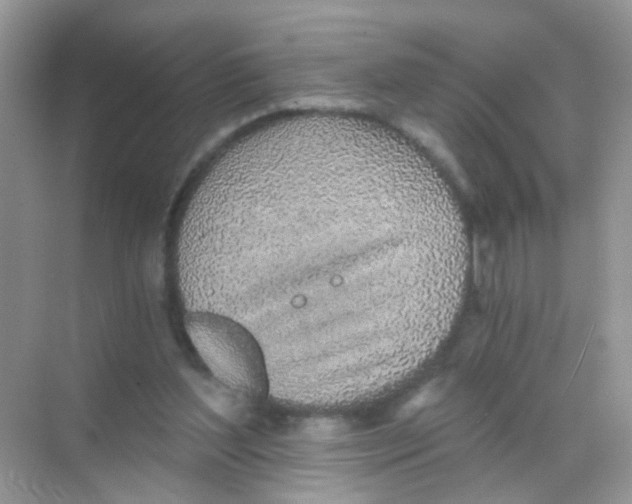 X0000068280204200605121921