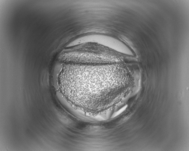 X0000068280205200605121921