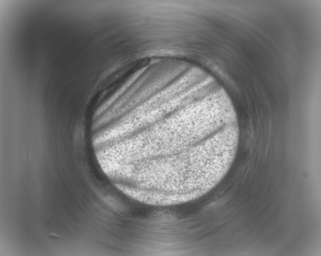 X0000068280207200605121921