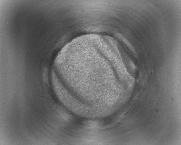 X0000068280209200605121920