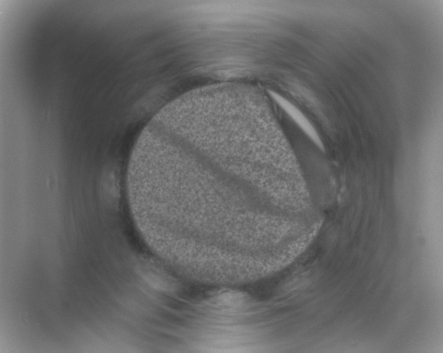 X0000068280210200605121920