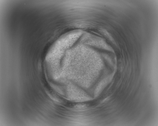 X0000068280213200605121920