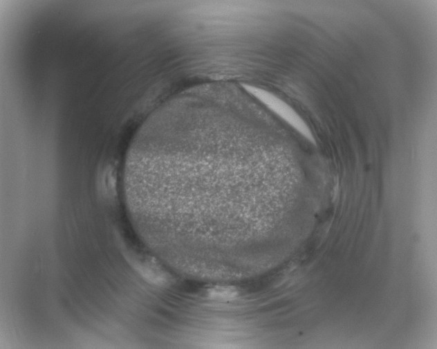 X0000068280214200605121920