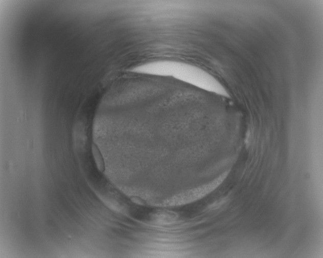 X0000068280215200605121920