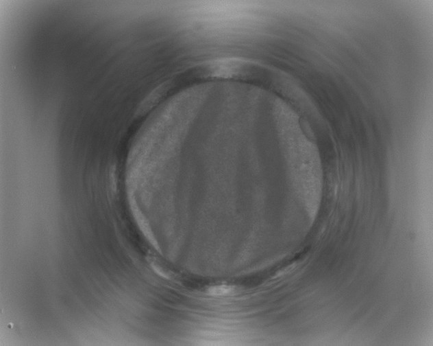 X0000068280216200605121920