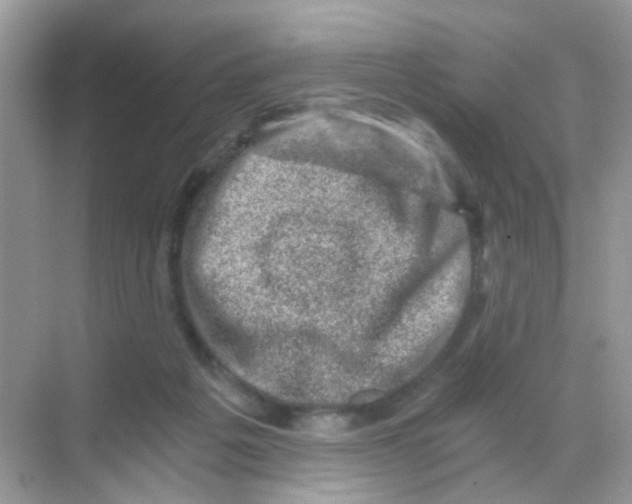 X0000068280217200605121920