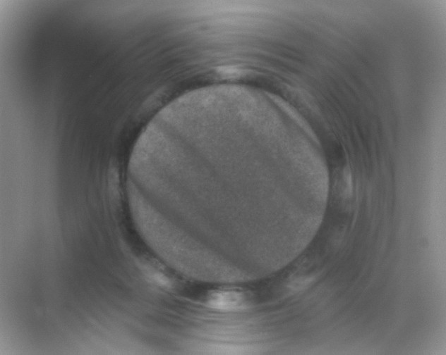 X0000068280220200605121920