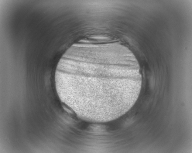 X0000068280221200605121920