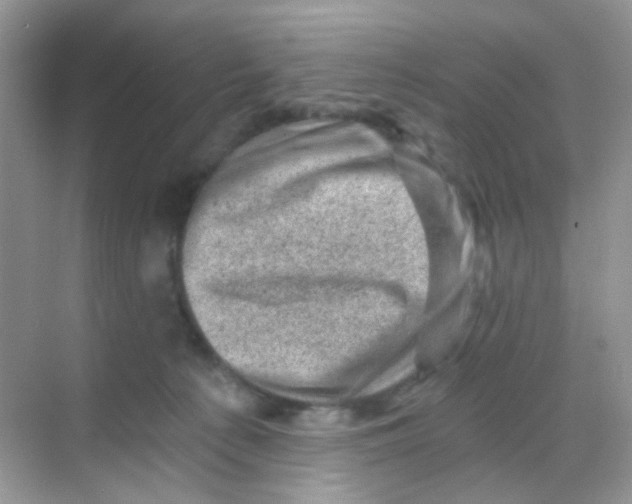 X0000068280225200605121920