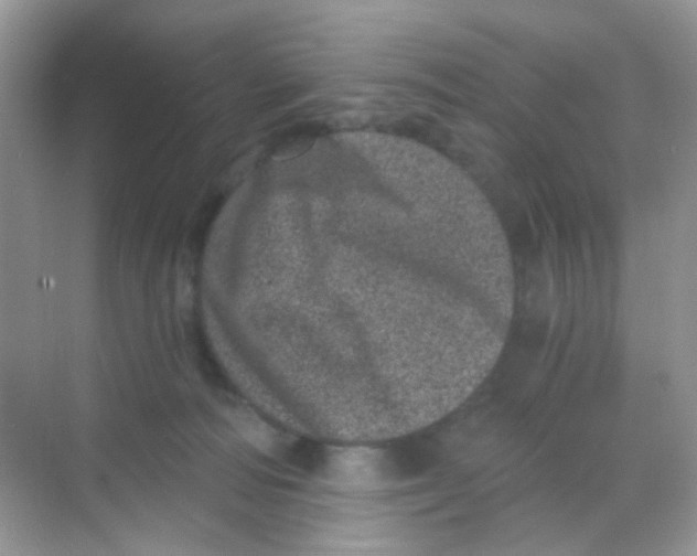 X0000068280226200605121920