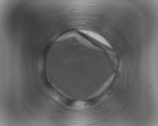 X0000068280227200605121920