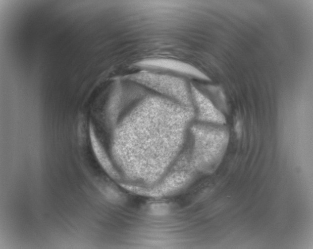 X0000068280228200605121920