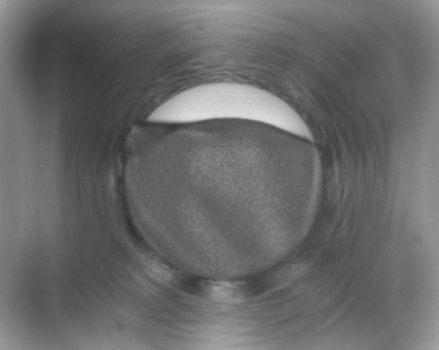 X0000068280229200605121920