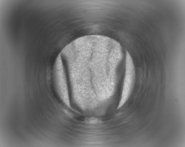 X0000068280230200605121920