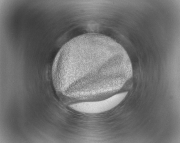 X0000068280233200605121920