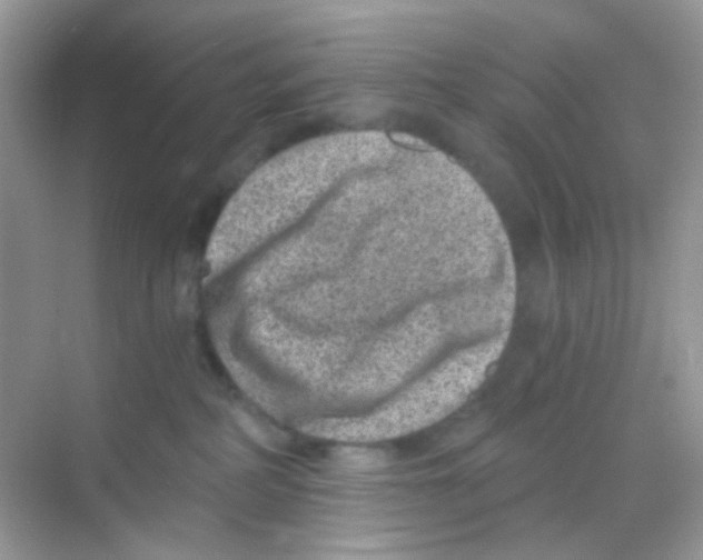 X0000068280234200605121920