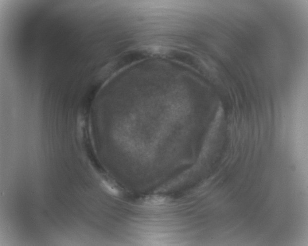 X0000068280235200605121920