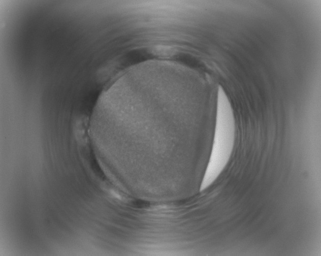 X0000068280237200605121920