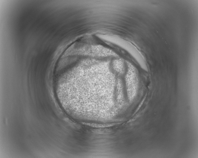 X0000068280241200605121919