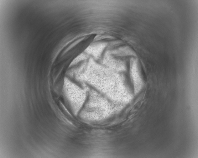 X0000068280242200605121919