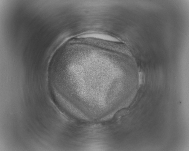 X0000068280243200605121919