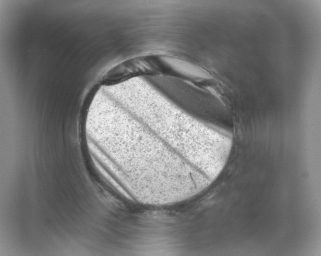 X0000068280244200605121919