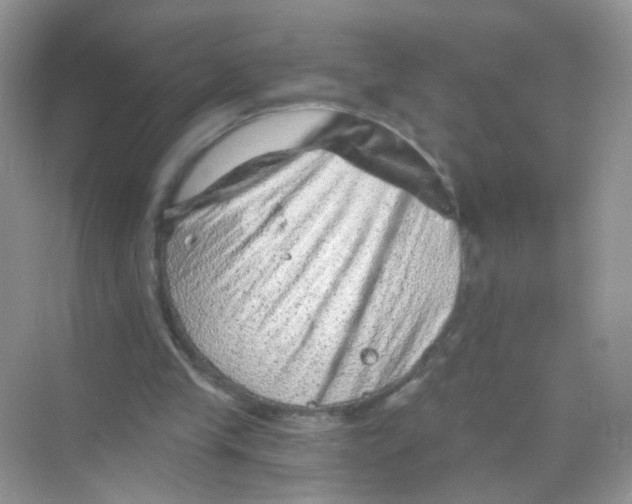 X0000068280245200605121919