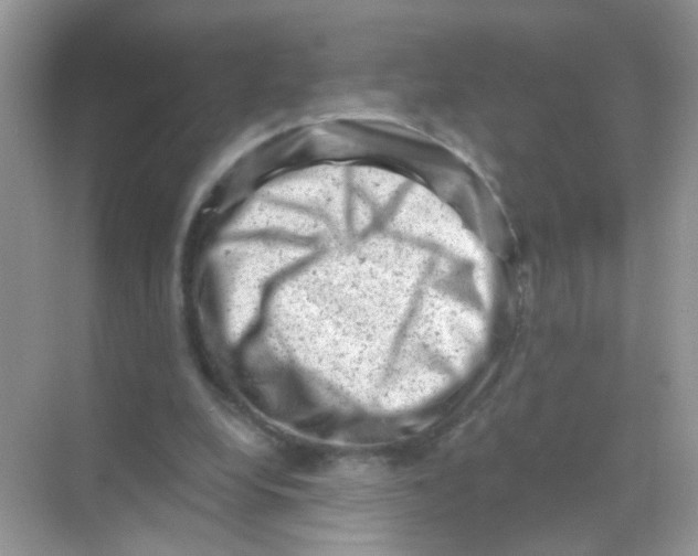 X0000068280248200605121919