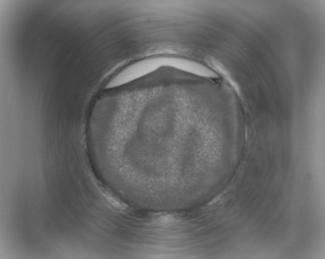 X0000068280249200605121919