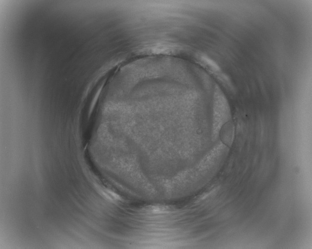 X0000068280250200605121919