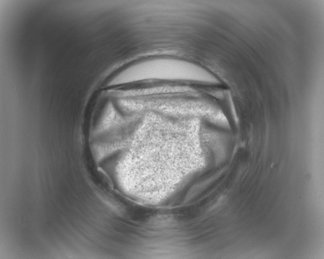 X0000068280252200605121919