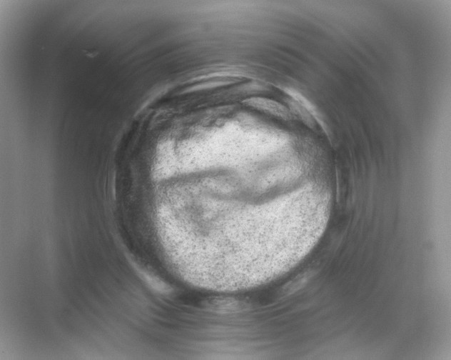 X0000068280253200605121919