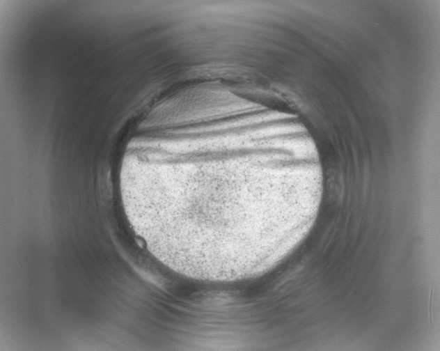 X0000068280254200605121919