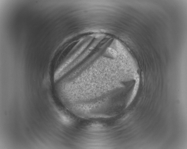 X0000068280256200605121919