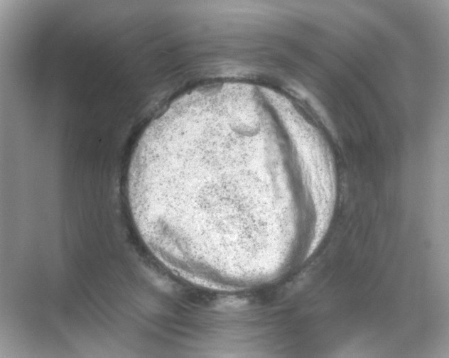 X0000068280257200605121919