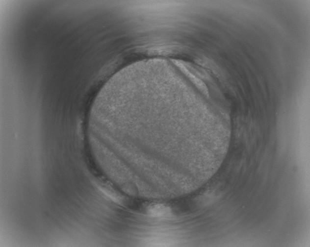 X0000068280258200605121919