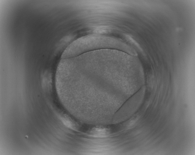 X0000068280260200605121919