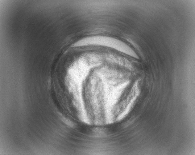 X0000068280261200605121919